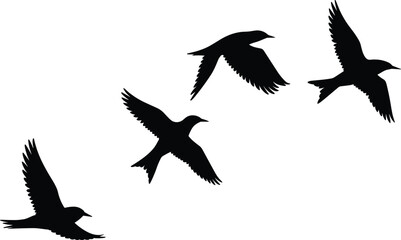 Obraz premium Black silhouette illustration of four birds in flight, dynamic wing positions, peaceful nature scene, minimalist artwork perfect for decorative prints, backgrounds, and vector stock.