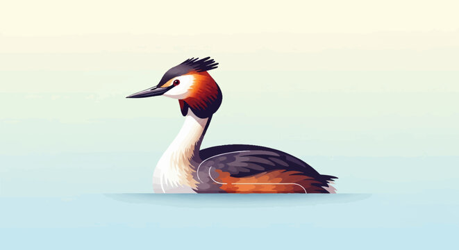 Stylized great crested grebe floats serenely on pale blue water