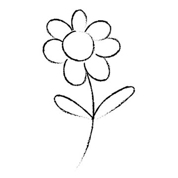 flower, hand drawn sketchy doodly flower vector image. flower vector black on white