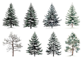 Obraz premium PNG Snow-covered evergreen trees collection, element set on transparent background