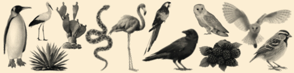 Haftoon Surreal Fantasy Abstract Collage Illustration with Birds, Owls, Snakes, Penguins, Flamingos, Parrots, Desert Plants, Flowers, and Creative Artistic Nature Design Elements