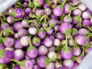 Fresh Thai eggplants in bulk, vibrant purple with green stems, highlighting natural color variety and market‑ready freshness.