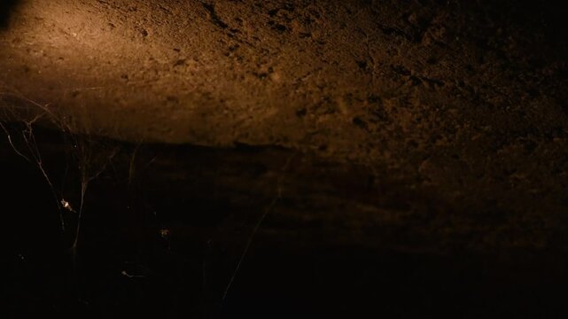 A stone ceiling in a dark cellar or old basement with a glowing industrial lamp and thick cobwebs