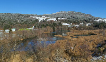 Biotop am Feistritzer Draustausee / K&auml;rnten / &Ouml;sterreich