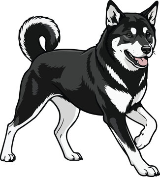 Shikoku dog happy playful pose vector illustration