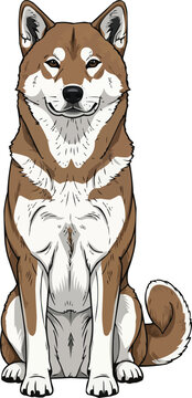 Shikoku dog sitting upright attentive facing front view pose