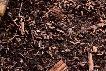 Fototapeta premium Dark organic ground covered with wood chips and soil fragments, showing rich earthy texture and natural decay, forming a raw surface ideal for environmental themes, natural backgrounds, and organic 