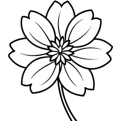 Obraz premium black and white flower