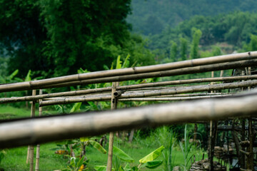 Traditional Bamboo Water Wheel Rice Paddy Fields Banana Plants Mountain Stream