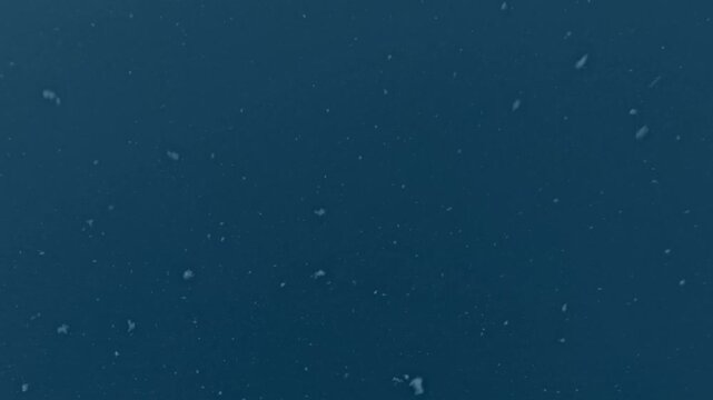 small organic particles in motion, ecological research, cells, biology, sustainable technologies for scientific presentations, microorganisms, microparticles, blue
