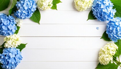 アジサイと白い板壁