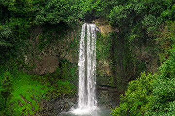 Fototapeta premium 落差50mの自然美。圧倒的な迫力と森林浴で感じる、熊本最大級の癒やしスポット。 山都町五老ヶ滝 A natural beauty with a 50m drop. Experience the overwhelming power and forest bathing at this one of Kumamoto's most relaxing spots. Gorogataki Falls, 