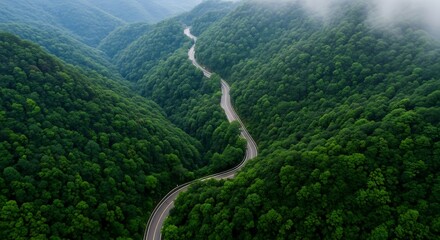 Winding road through lush green forest landscape with mountains