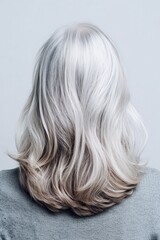 Fototapeta premium Close-up of a person's back with long silver hair, showcasing natural beauty and texture against a gray background.