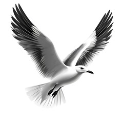 Obraz premium Seagull in flight with wings spread wide on a photo white background bird flying