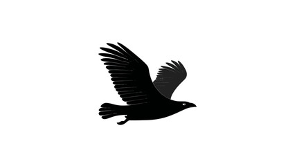 Obraz premium Majestic black bird in flight, powerful silhouette against a clean white background