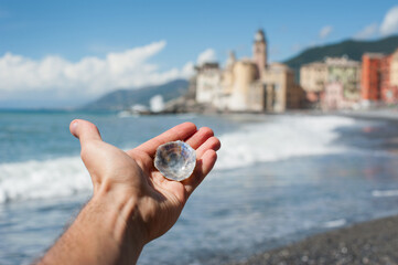 small shell with pearly shine in hand on the background of a resort beach
