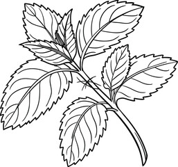 Botanical Leaf Icons in Minimal Black Vector Style | Elegant Floral Foliage Branch Collection Isolated | Decorative Botanical Leaf Silhouettes for Design