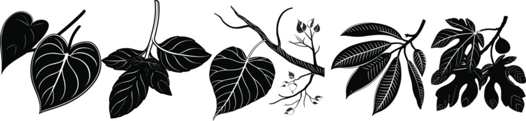 Botanical Leaf Icons in Minimal Black Vector Style   Elegant Floral Foliage Branch Collection Isolated   Decorative Botanical Leaf Silhouettes for Design © Vivid Pixel Studio.