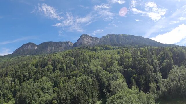 Drone FPV au dessus de For&ecirc;t verte