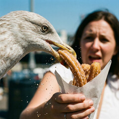 Seagull stealing french fries from surprised woman's paper cone beach