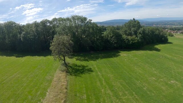 Drone FPV au dessus de For&ecirc;t verte