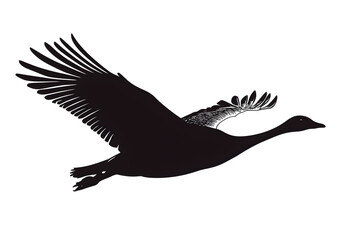 Obraz premium Soaring Silhouette: A graceful swan glides through the sky, its form etched in shadow, a symbol of freedom and serenity. 