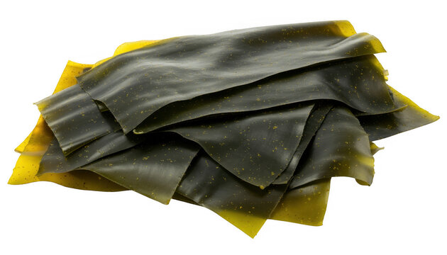 Stack of dried dark green seaweed sheets on yellow isolated on a transparent background
