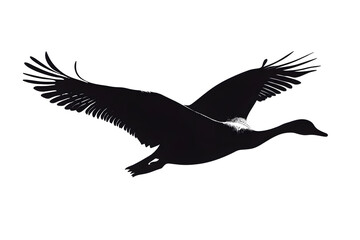 Fototapeta premium Soaring Silhouette: A captivating silhouette of a graceful bird in mid-flight, wings fully extended, embodies freedom and effortless movement, set against the backdrop of a bright sky.