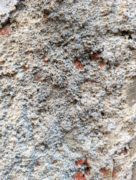 Coarse Aggregate Wall Texture with Rough Grey Mortar and Red Brick Highlights