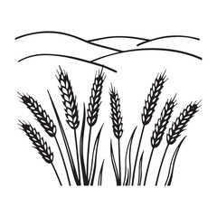 wheat field vector illustration