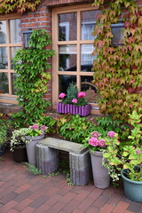 Blumen an einem Haus in Ostfriesland