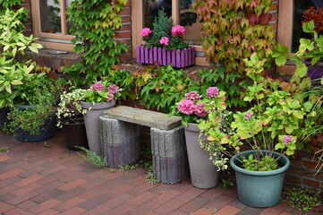Blumen an einem Haus in Ostfriesland