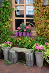 Blumen an einem Haus in Ostfriesland