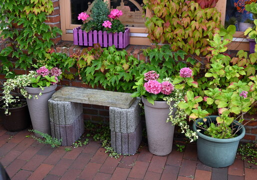 Blumen an einem Haus in Ostfriesland