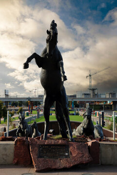 The Broncos sculpture at Empower Field in Denver features seven powerful horses captured in a dynamic pose. This iconic public art stands outside the home of the Denver Broncos, symbolizing strength, 