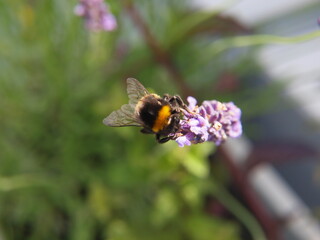 OLYMPUS DIGITAL CAMERA © Piotr