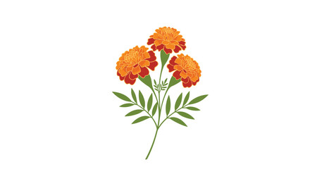 Obraz premium Branch of three vibrant orange marigold flowers with green leaves, often used in gardens and traditional festivals.