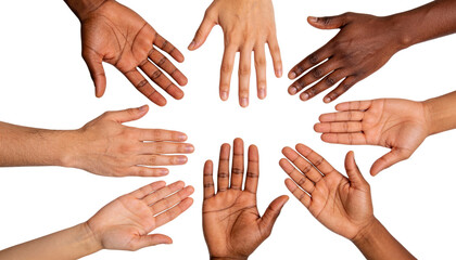 group of people hands Isolated PNG 