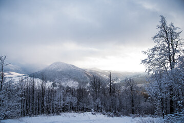 zimowy krajobraz © Marart.pl