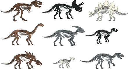 Dinosaur skeleton illustration set, prehistoric fossil bones collection, T rex triceratops stegosaurus remains, paleontology anatomy vector scientific extinct reptiles © VectoBloom