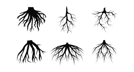 Collection of black tree root system silhouettes on white background vector illustration © IlmNira