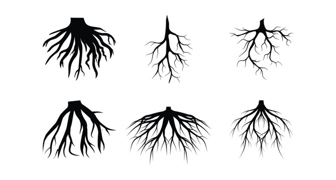 Collection of black tree root system silhouettes on white background vector illustration