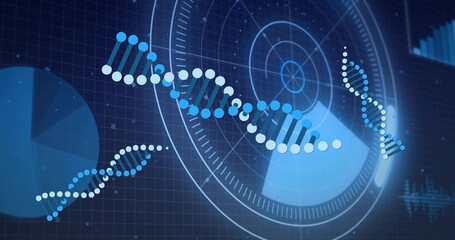 Rotating central DNA helix anchoring navy data dashboard, with circular HUD and waveform bars © vectorfusionart