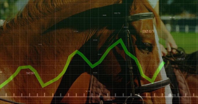 Displaying chestnut horse head wearing leather bridle in paddock, with green graph overlay