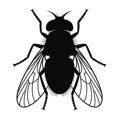 Fly head close-up with wings Vector, Silhouette, Illustration