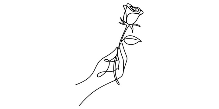 A minimalist continuous line drawing depicting a hand gently holding a single rose flower Vector, illustration