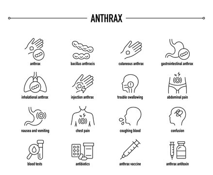 Anthrax symptoms, diagnostic and treatment vector icon set. Line editable medical icons.