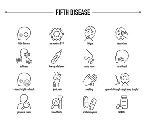 Fototapeta premium Fifth Disease symptoms, diagnostic and treatment vector icon set