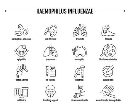 Haemophilus Influenzae symptoms, diagnostic and treatment vector icon set